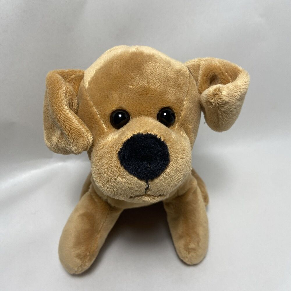Publix Brown Puppy Plush Dog Tan Brown Eyes Sitting 7.5 Inch 2021 Doggy